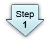 Medicare Advantage Program