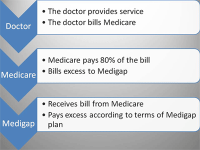 Loyal American Medicare Supplement Plans